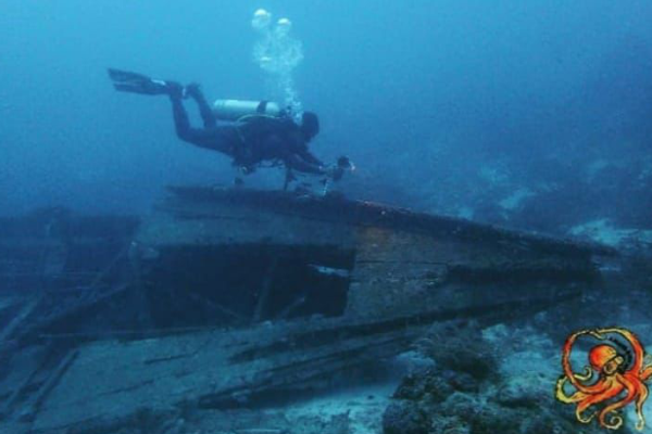 Pemeliharaan & Penelitian Lingkungan bawah laut