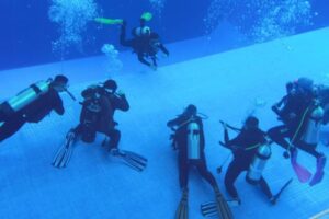 WhatsApp Image 2026-02-12 at 08.17.44 (1) WhatsApp Image 2026-02-12 at 08.17.44 (1)
