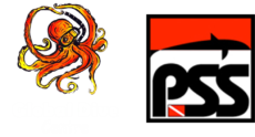 logo footer