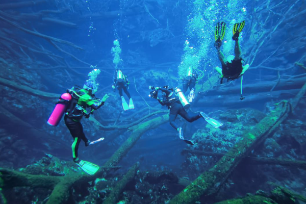 perjalanan wisata selam